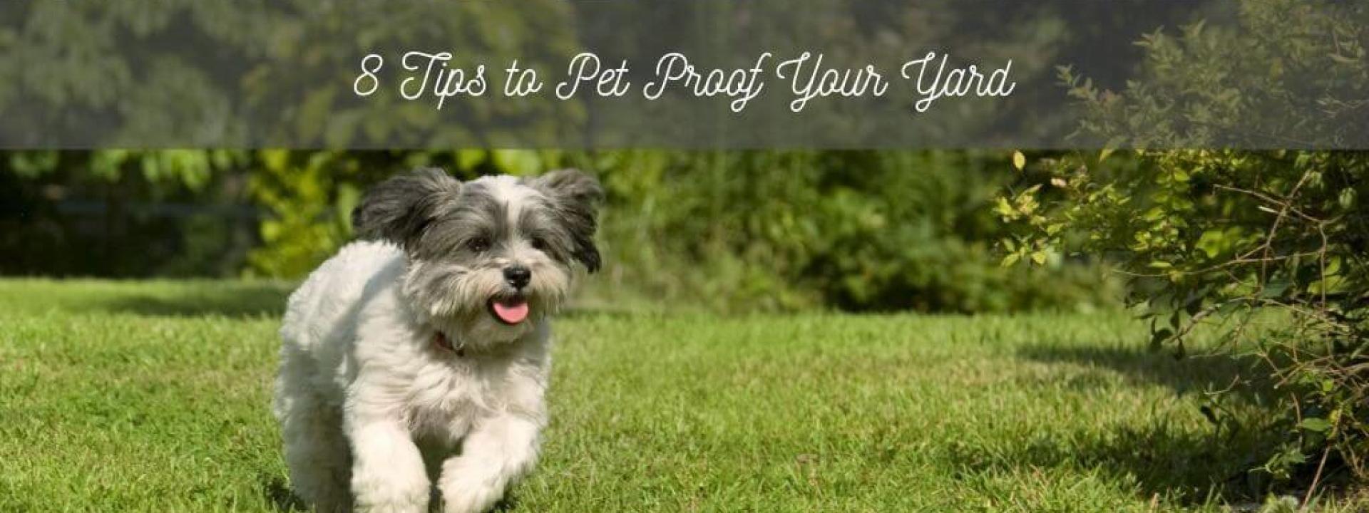 8 Tips to Pet Proof Your Yard