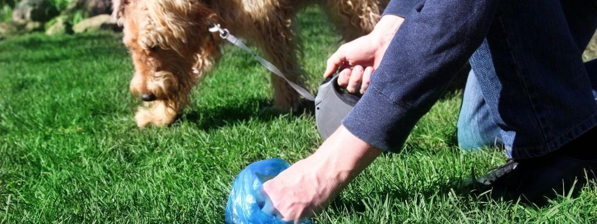 Woman with dog and poop pickup bag