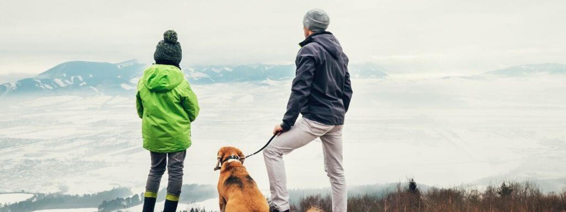 tips for hiking with dogs