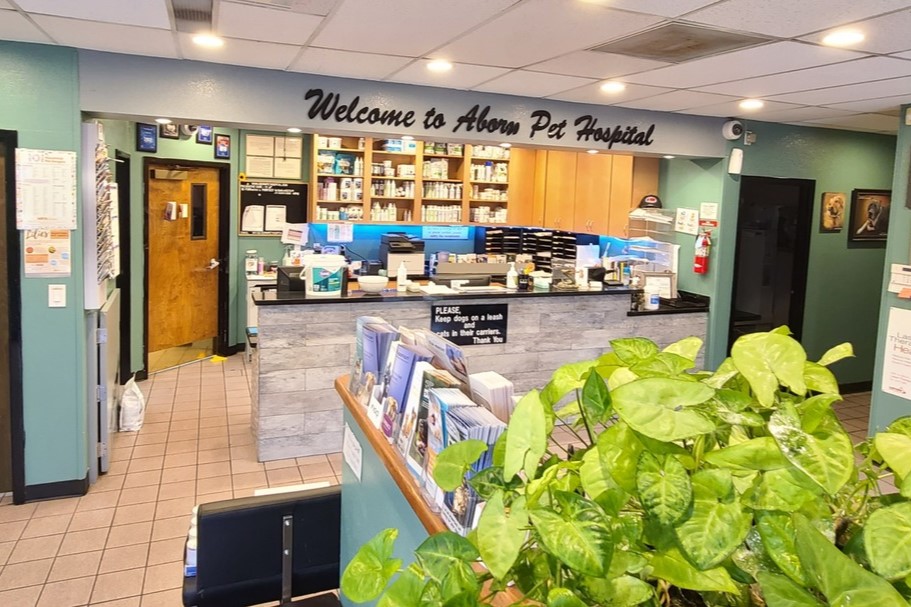 Aborn Pet Hospital Reception Area