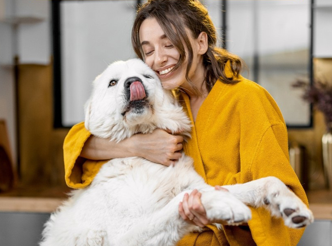 a person holding a happy white dog