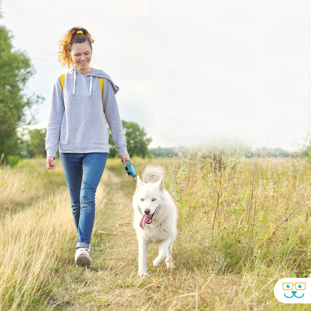 a person walking a fluffy dog on a grassy path