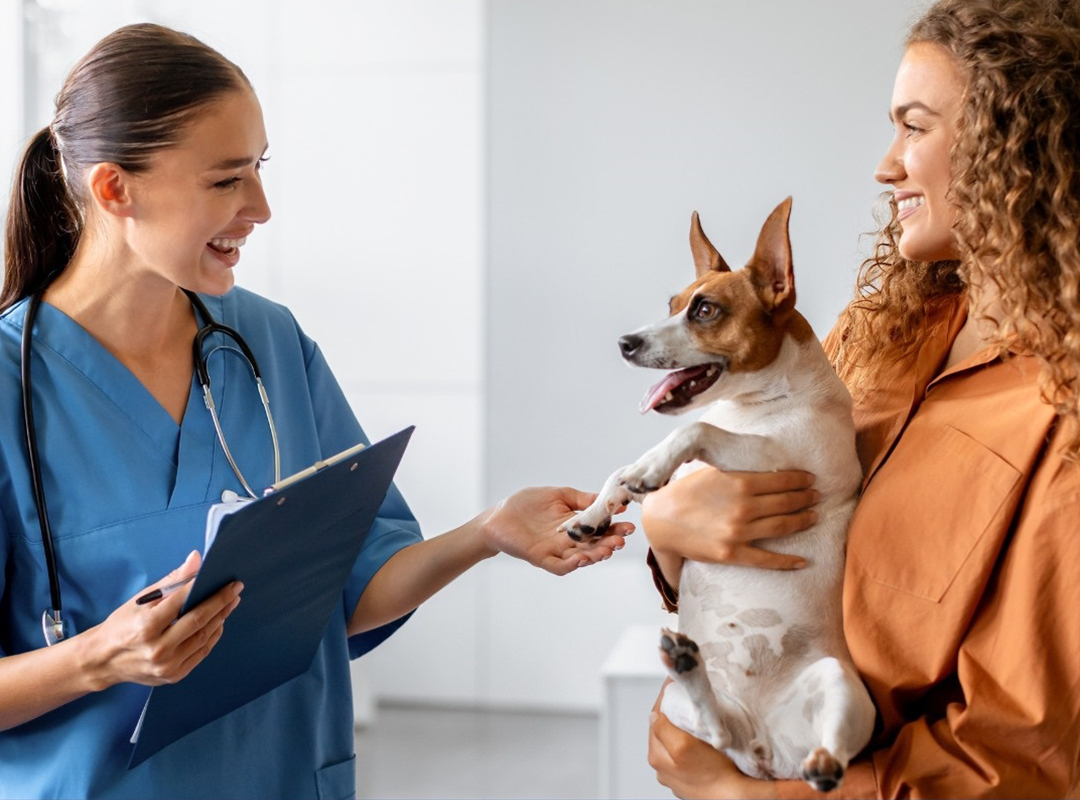 a vet holding a clipboard with a small dog being held by a person