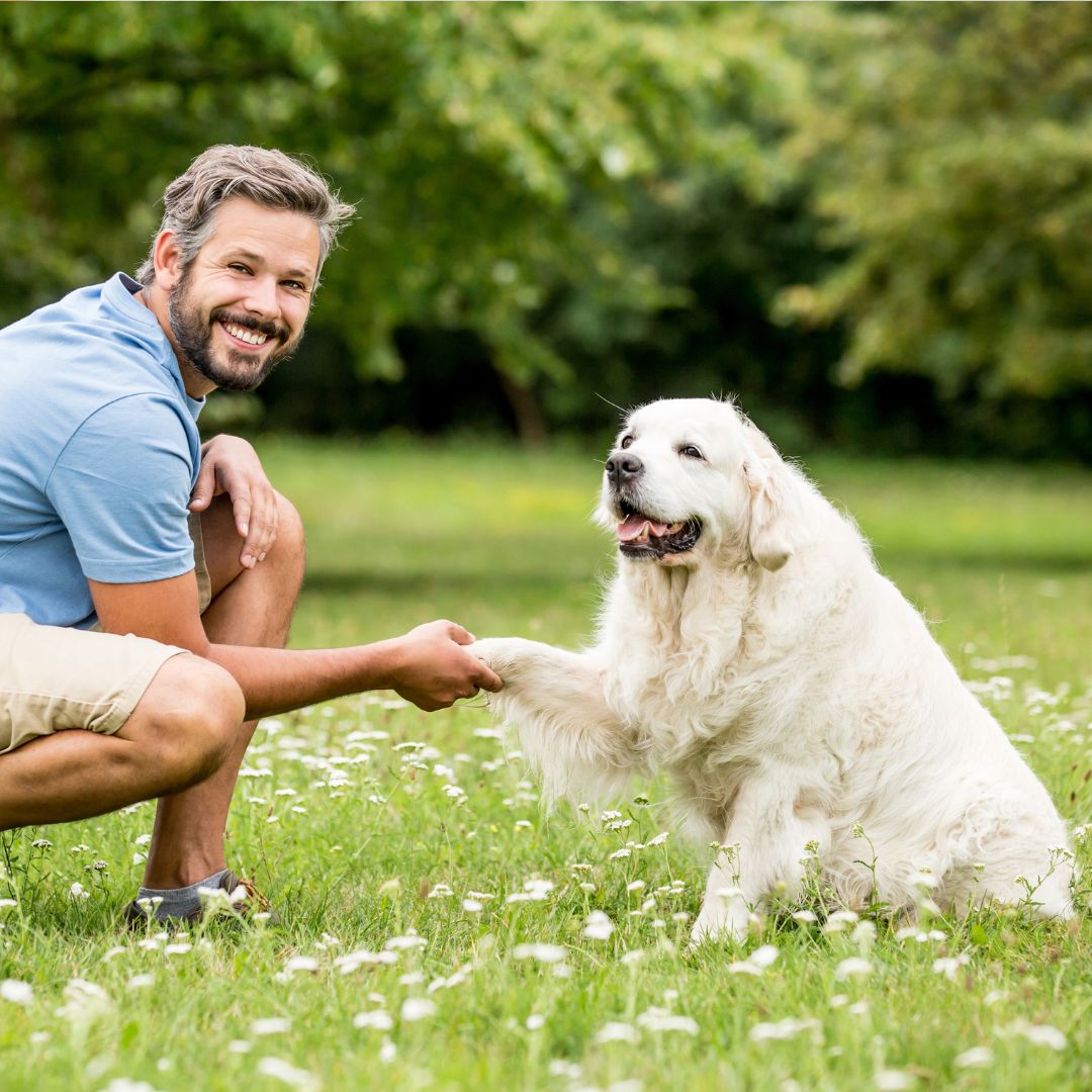 A man kneels in the grass, affectionately interacting with his dog beside him