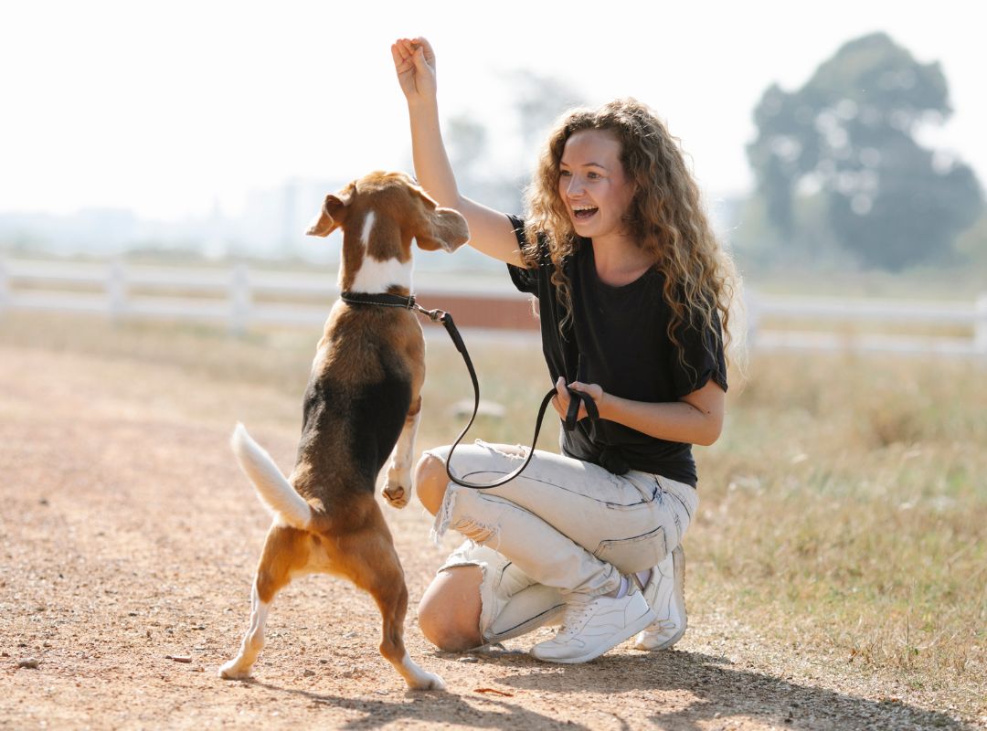 a dog standing on hind legs